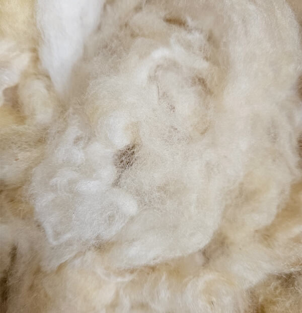 Merino-Landschaf-Lamm Rohwolle 100g