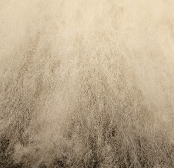 Vlies - Merino Landschaf 100g – Bild 2