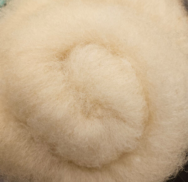 Vlies - Merino Landschaf 100g