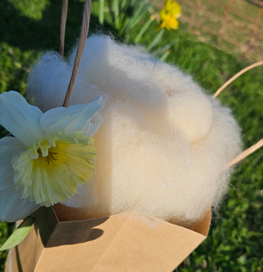 Vlies - Merino-Texel 100g – Bild 4