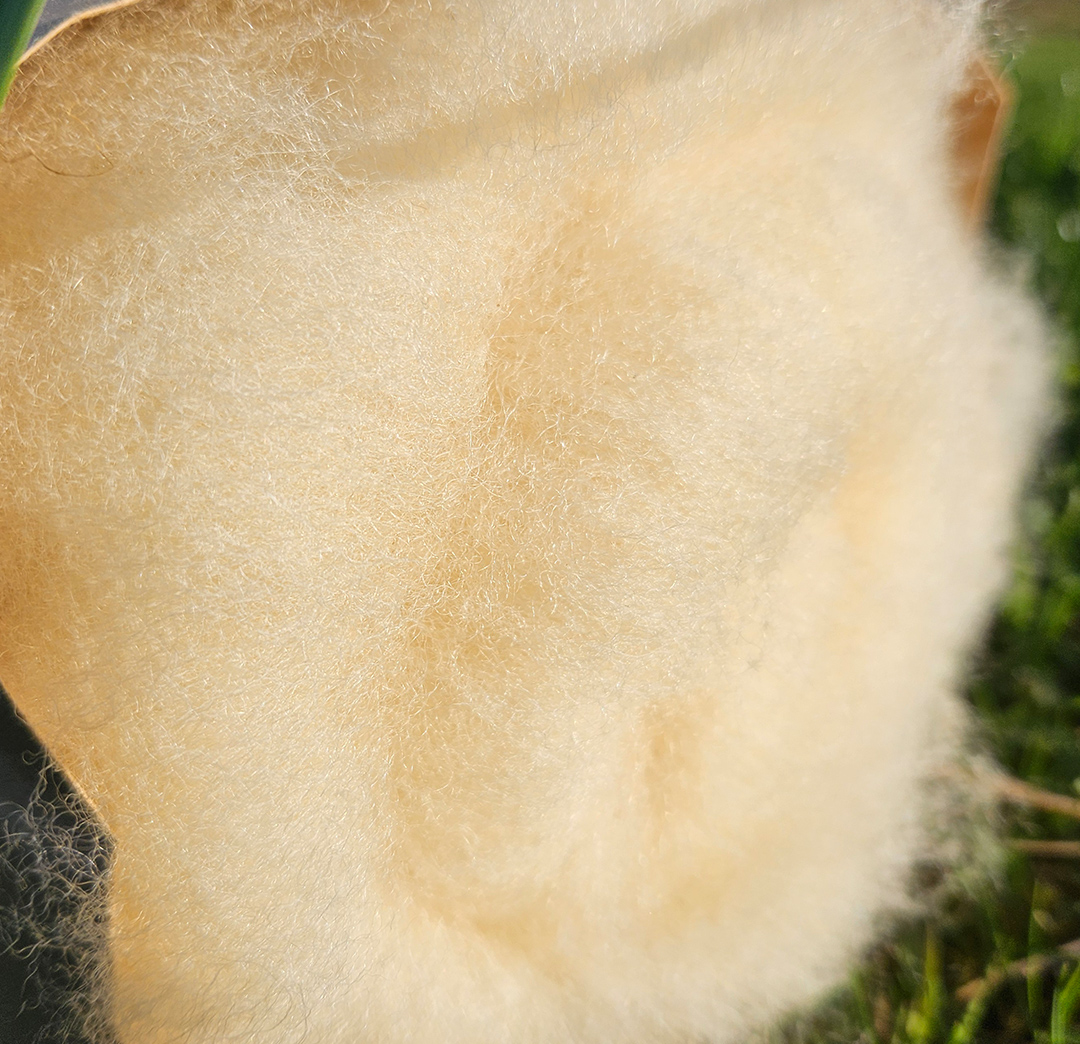 Vlies - Merino-Texel 100g – Bild 3