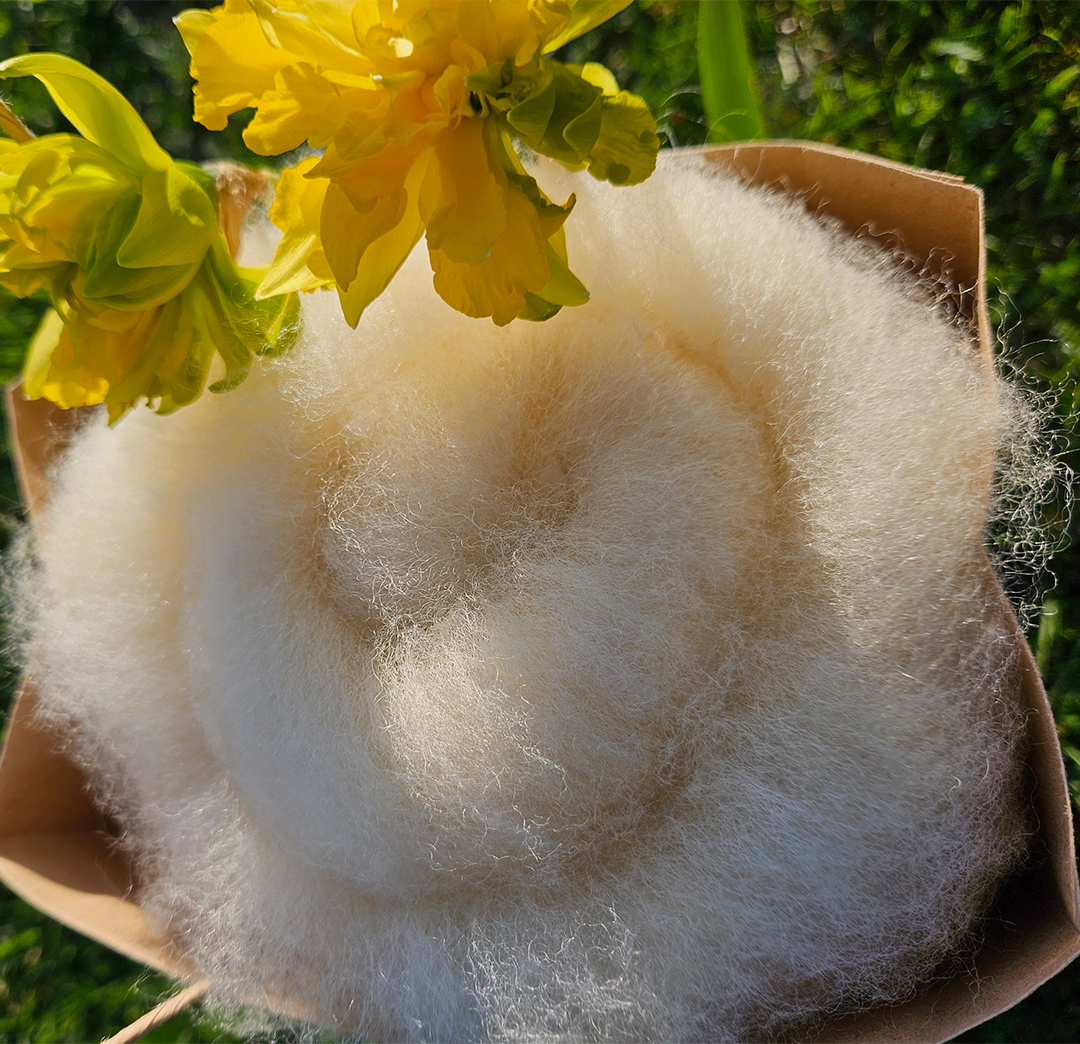 Vlies - Merino-Texel 100g – Bild 2