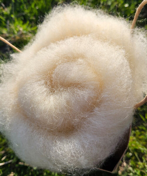 Vlies - Merino-Texel 100g