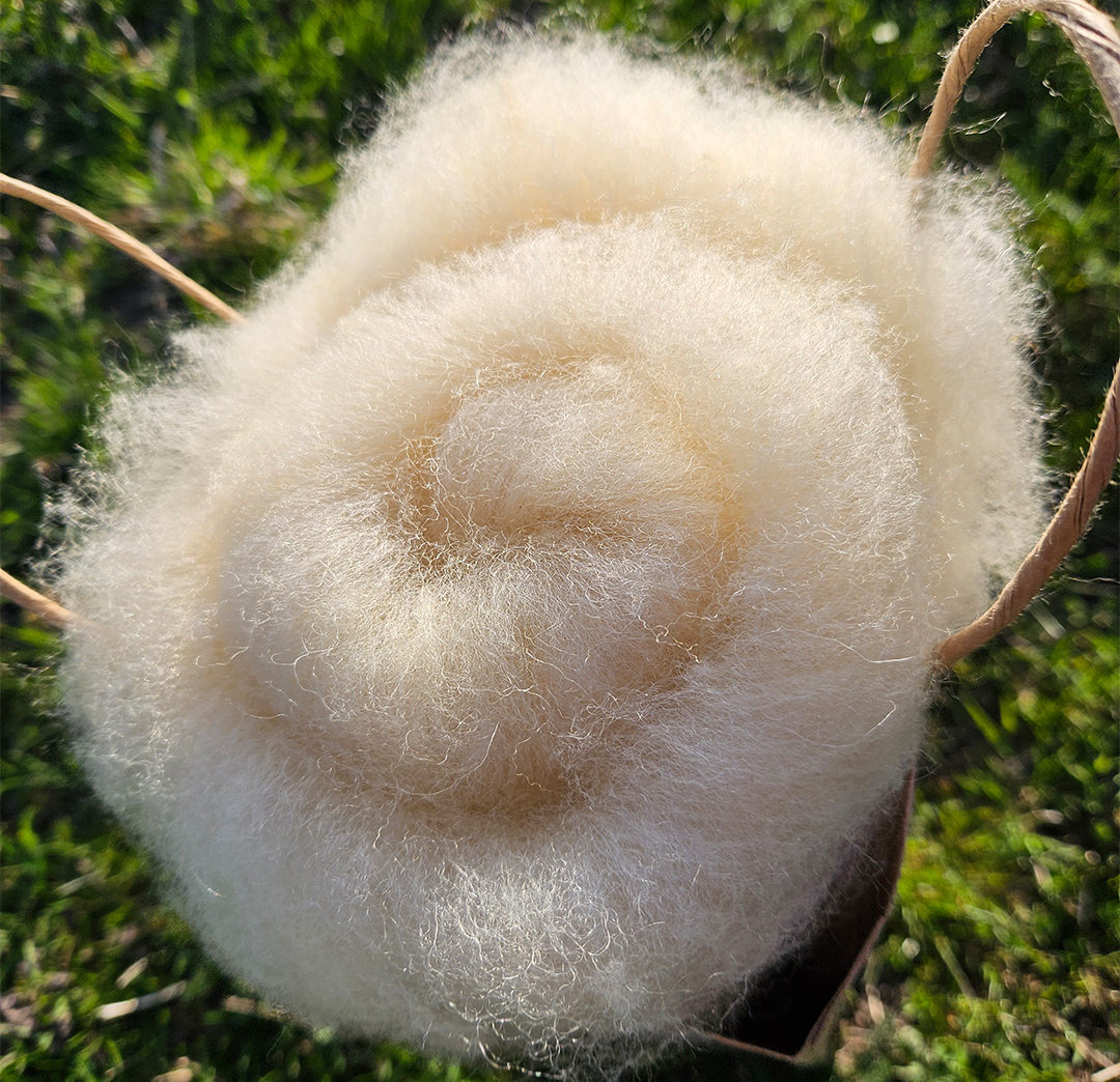 Dokumentation Schafwolle - Arbeitsschritte von der Schur bis zur fertigen Wolle