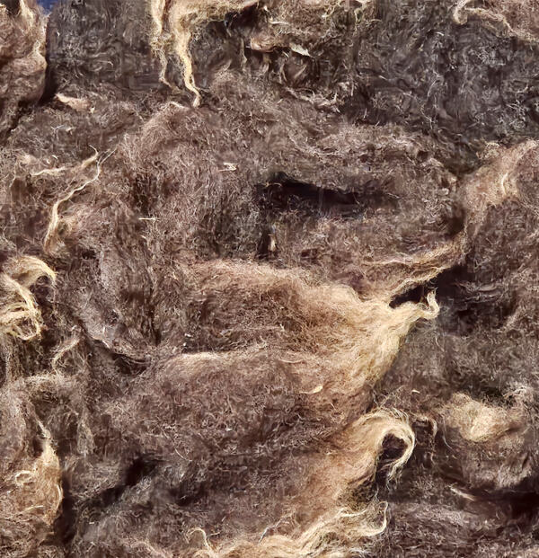 Rohwolle - Ouessant, braun 100g – Bild 4