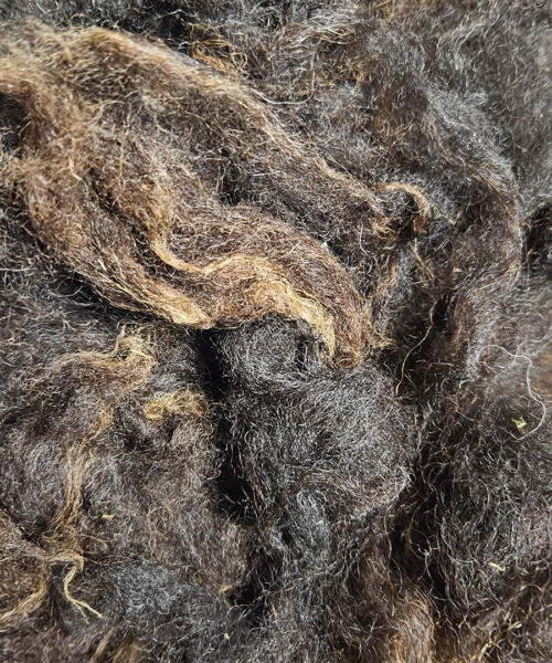 Rohwolle - Ouessant, braun 100g