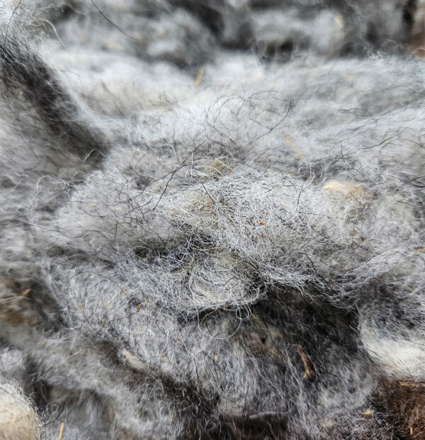 Rohwolle - Ouessant, grau 100g