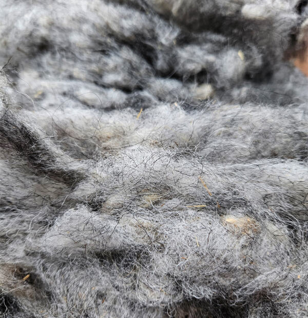Rohwolle - Ouessant, grau 100g – Bild 2