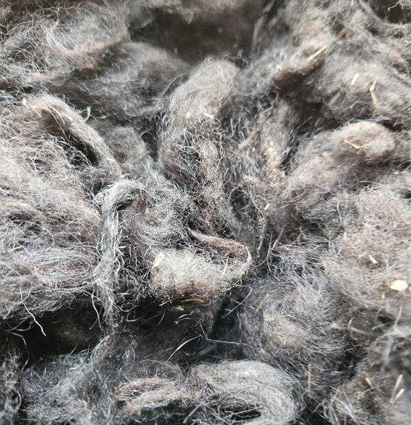 Rohwolle - Ouessant, grau 100g – Bild 4