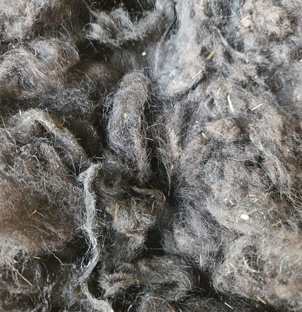 Rohwolle - Ouessant, grau 100g – Bild 5