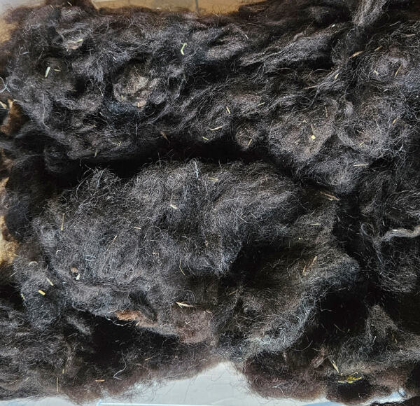 Rohwolle - Ouessant, schwarz 100g