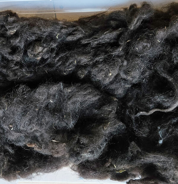 Rohwolle - Ouessant, schwarz 100g – Bild 2