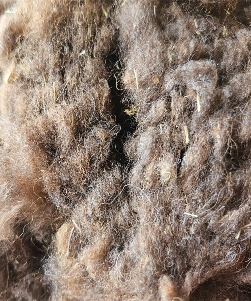 Rohwolle - Ouessant, braun, Lamm 100g