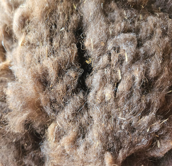 Rohwolle - Ouessant, braun, Lamm 100g