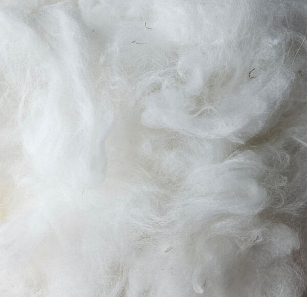 Rohwolle - Angora 100g