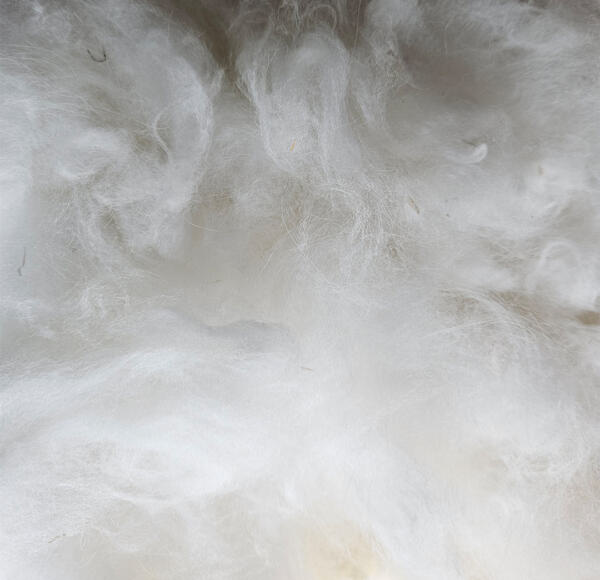 Rohwolle - Angora 100g – Bild 2