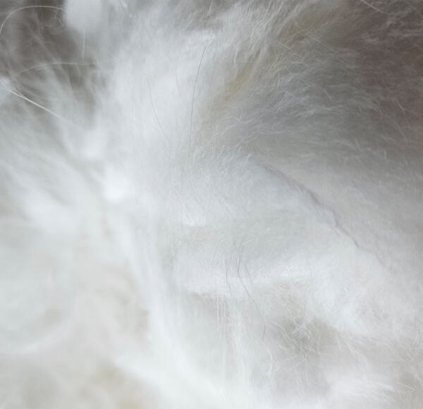 Rohwolle - Angora 100g – Bild 3