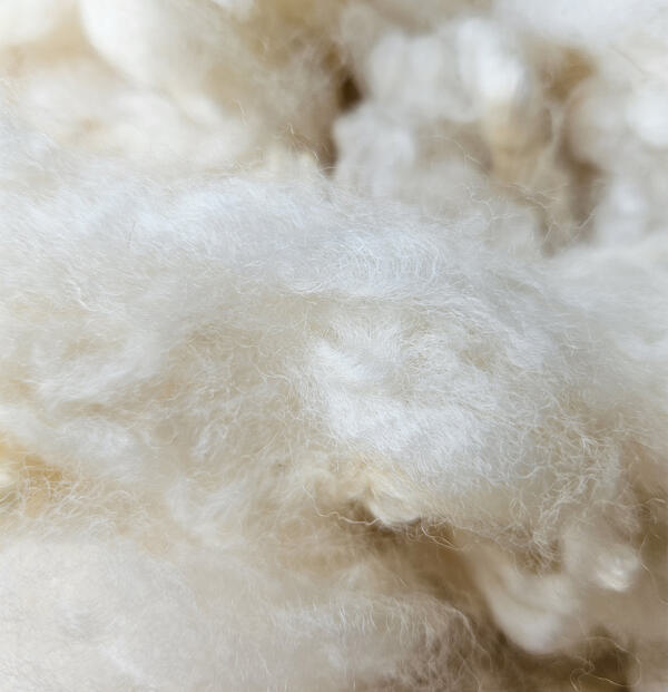 Merino-Landschaf-Lamm Rohwolle 100g – Bild 4