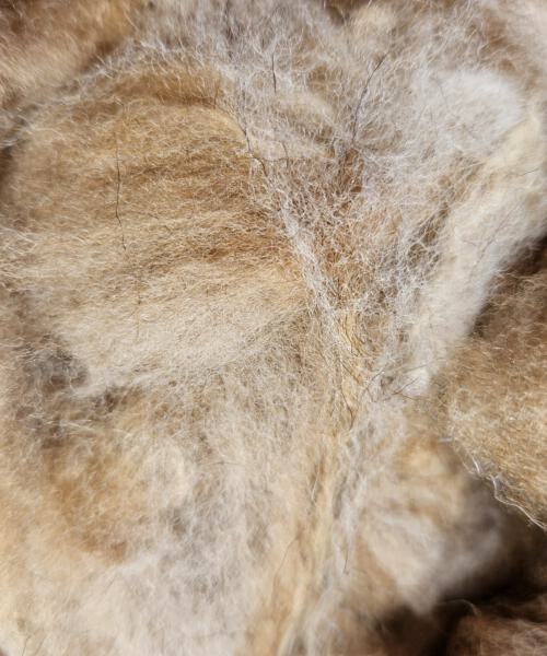 Coburger-Fuchs-Lammwolle - Roh 250g
