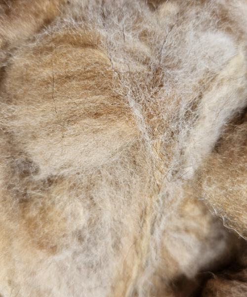 Coburger-Fuchs-Lammwolle Roh 100g