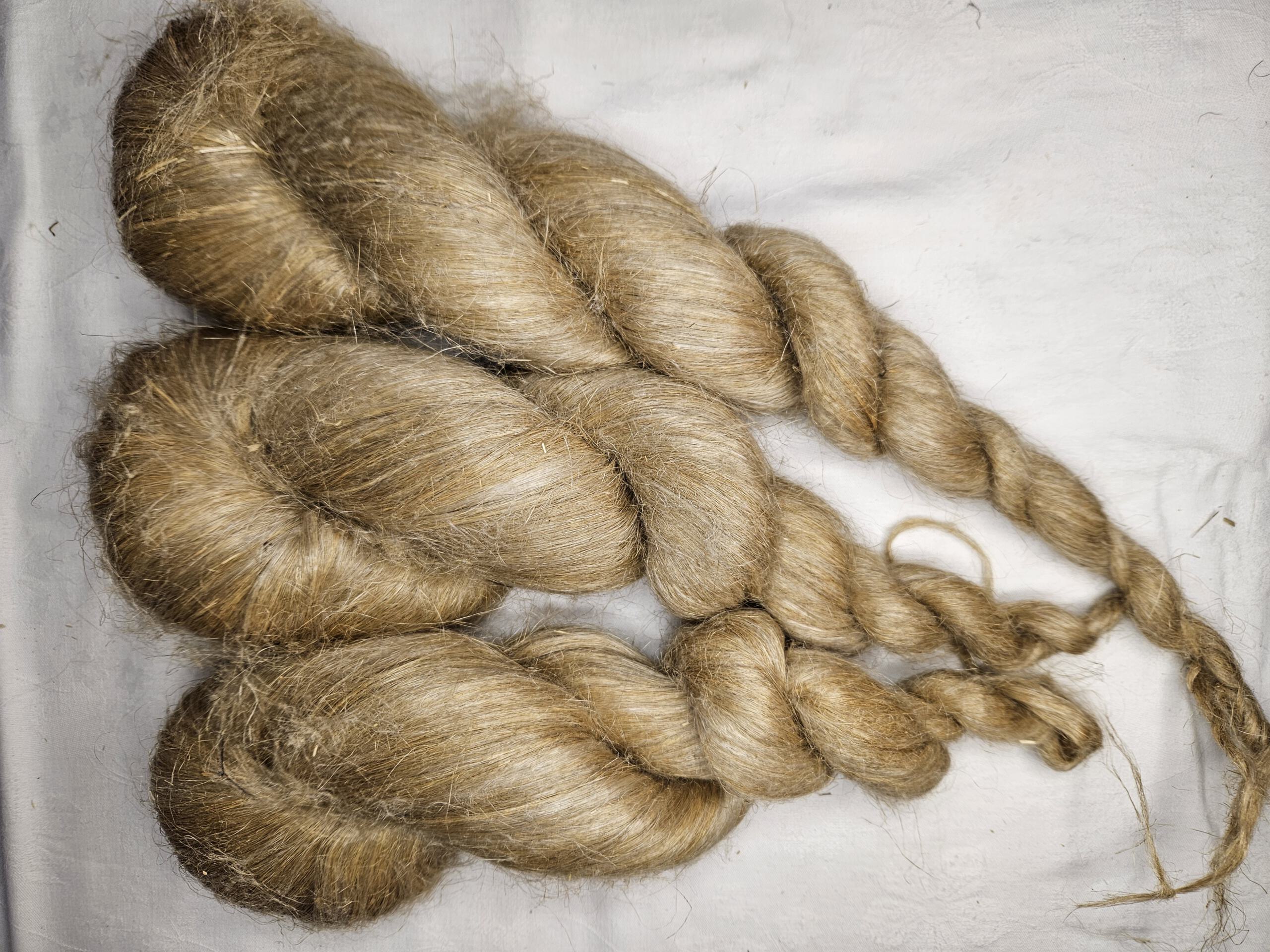 Dokumentation Schafwolle - Arbeitsschritte von der Schur bis zur fertigen Wolle – Bild 2