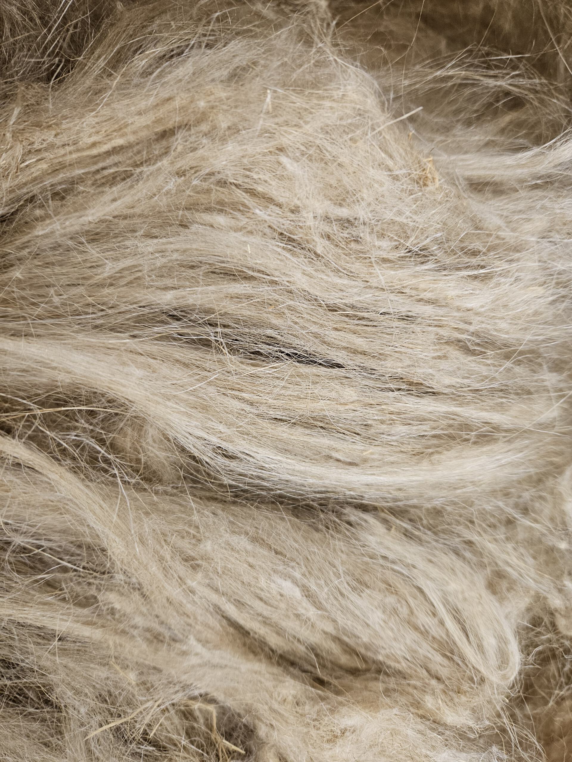 Flachswerg, Hechelwerg, weich, 100g - gut zu verspinnen – Bild 7