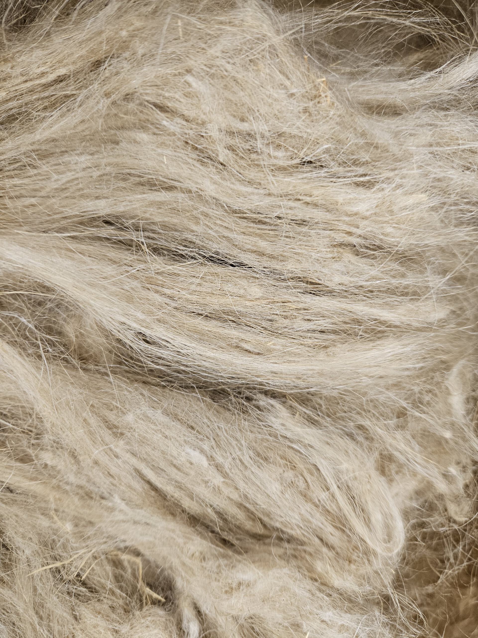 Flachswerg, Hechelwerg, weich, 100g - gut zu verspinnen – Bild 6