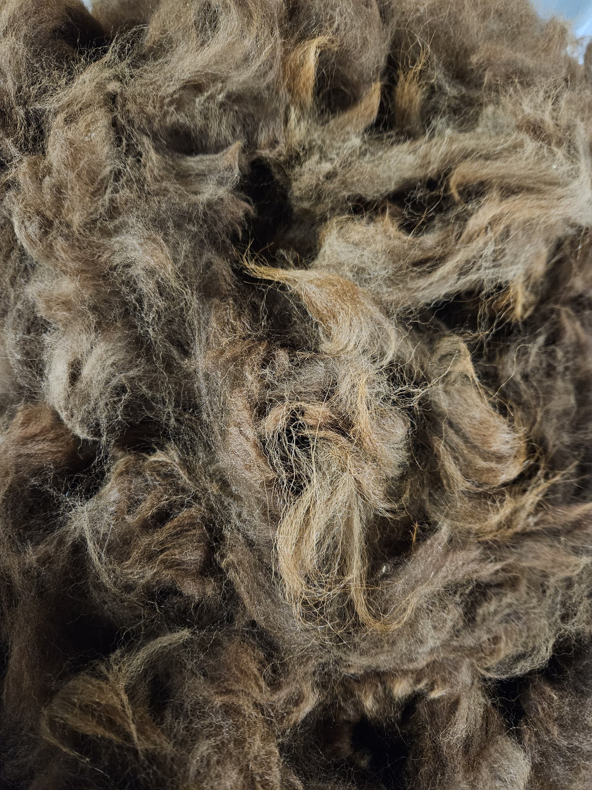 Edelfaser Woll-Fühl-Parkour, Rohwollmuster, Griffmuster - Alpakawolle – Bild 9