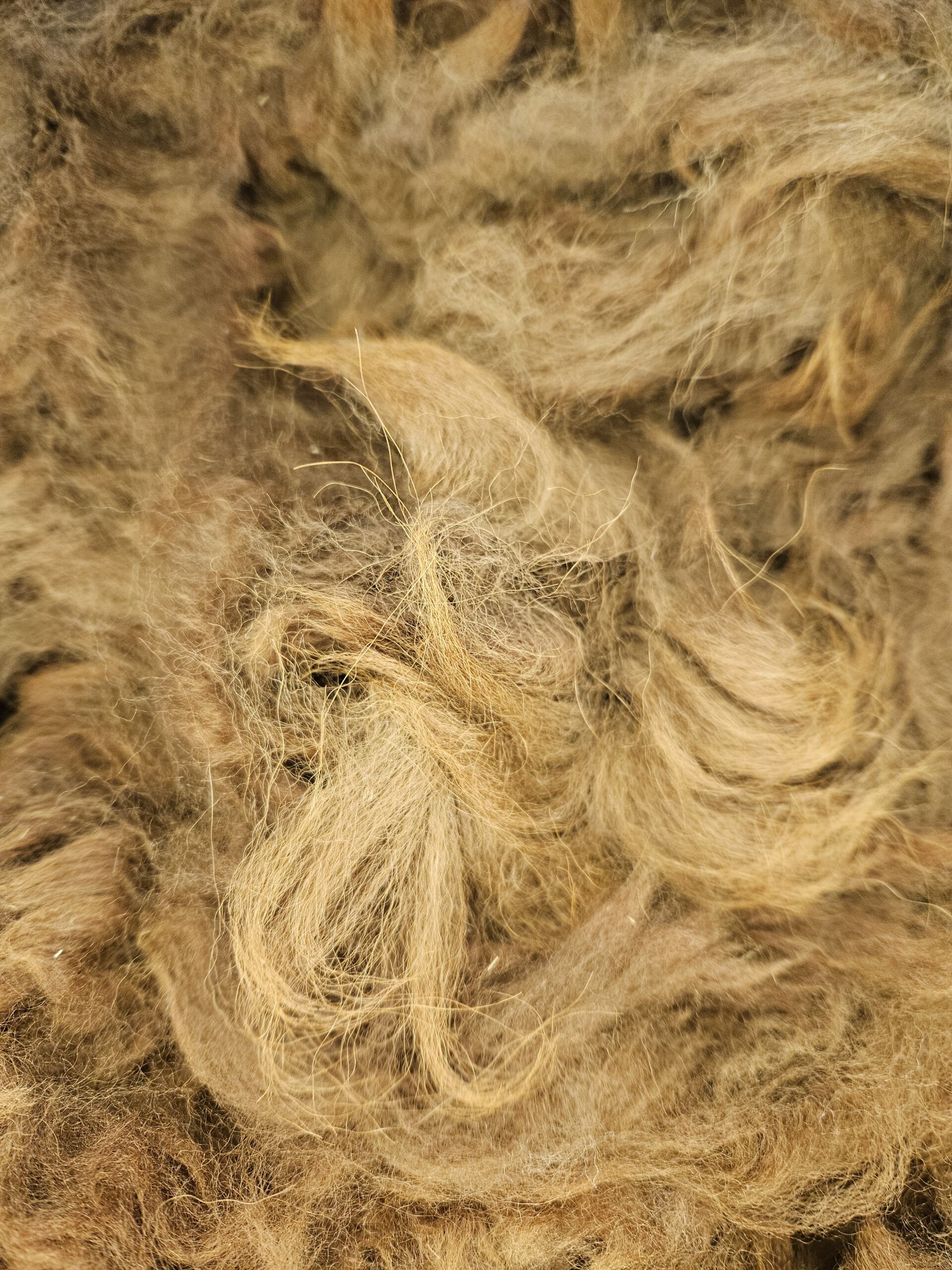 Edelfaser Woll-Fühl-Parkour, Rohwollmuster, Griffmuster - Alpakawolle – Bild 4