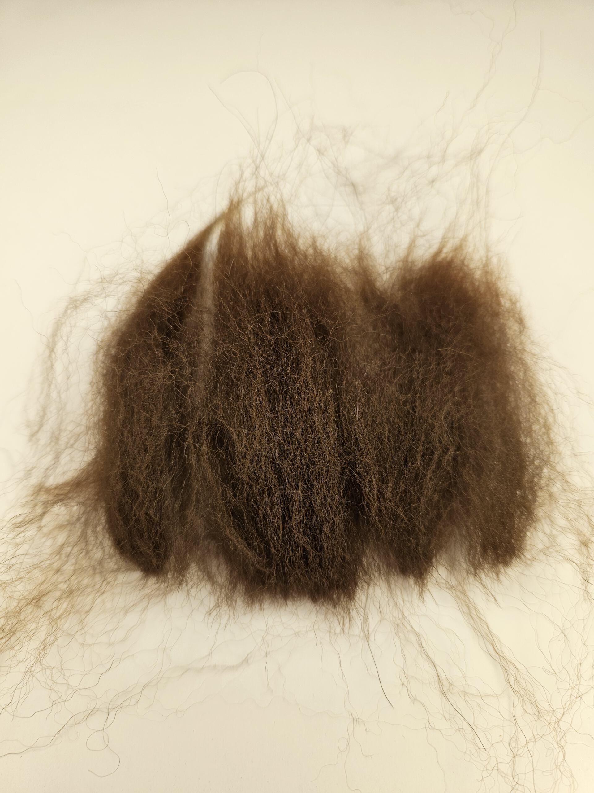 Alpaka-Wolle braun, Edelfasern zum Spinnen und Basteln 100g