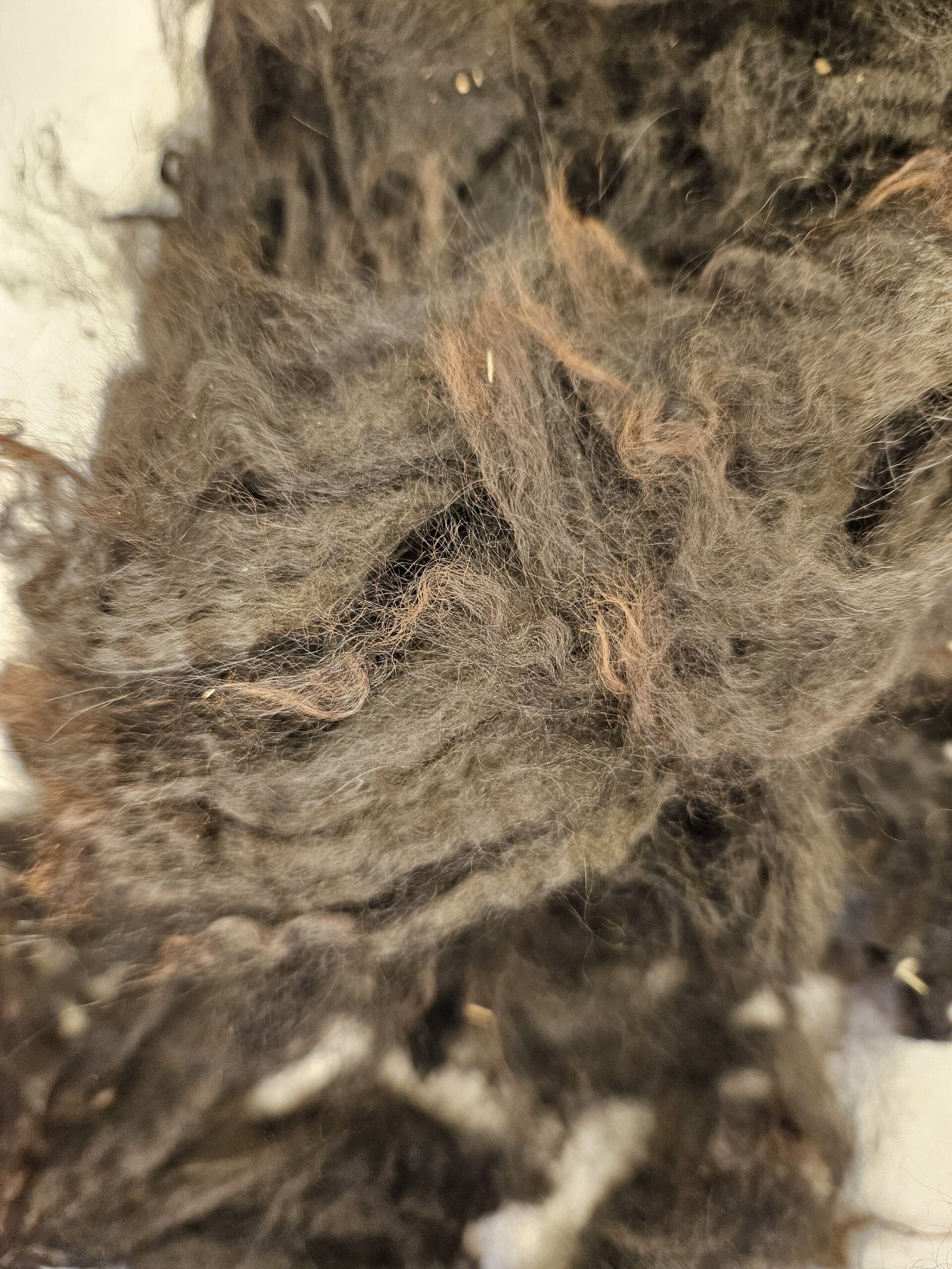 Edelfaser Woll-Fühl-Parkour, Rohwollmuster, Griffmuster - Alpakawolle – Bild 5