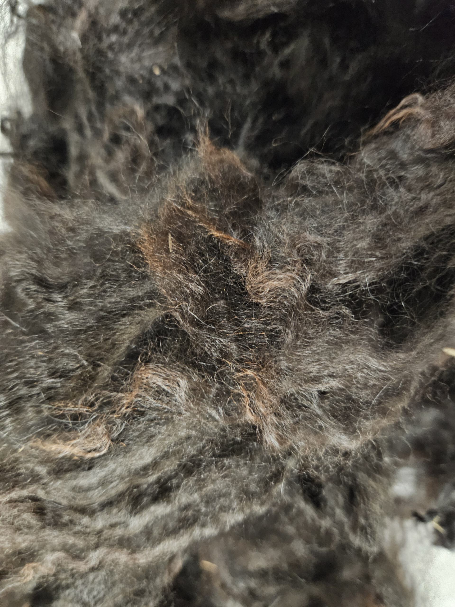 Edelfaser Woll-Fühl-Parkour, Rohwollmuster, Griffmuster - Alpakawolle – Bild 7