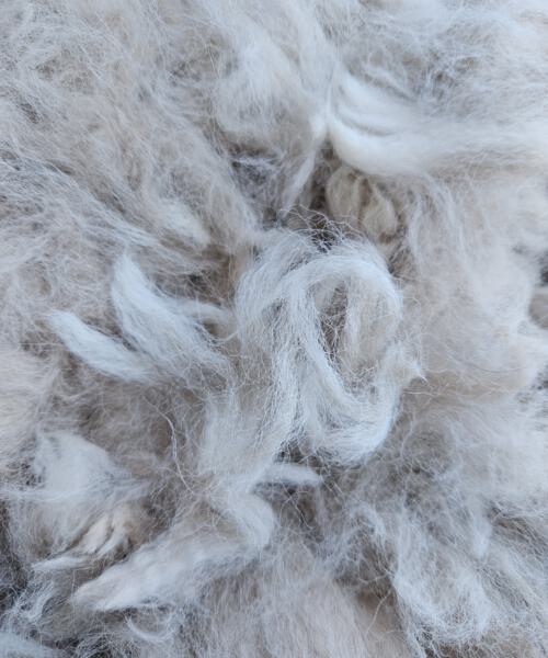 Alpaka-Wolle champanger, Edelfasern zum Spinnen und Basteln 100g