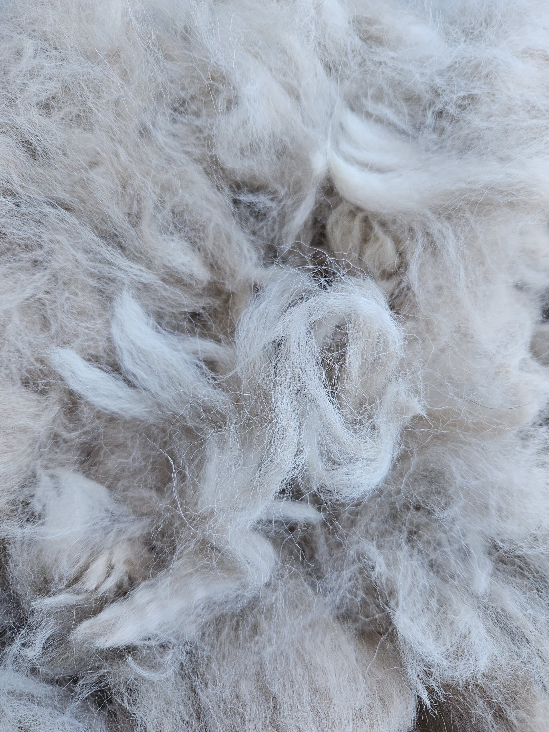 Alpaka-Wolle champanger, Edelfasern zum Spinnen und Basteln 100g