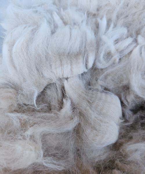 Alpaka-Wolle champanger, Edelfasern zum Spinnen und Basteln 50g