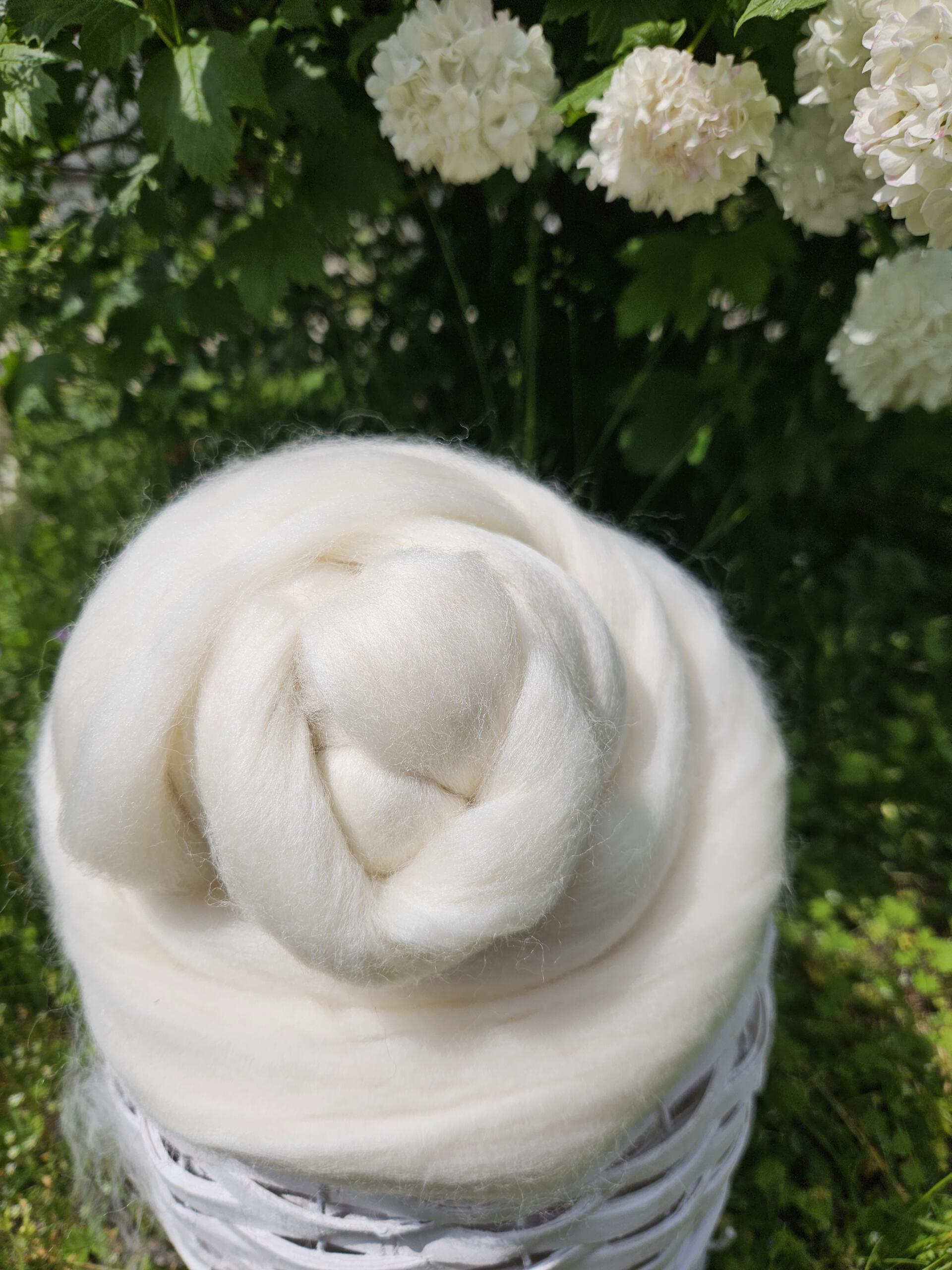 Weicher Schurwoll-Kammzug aus Merino d’Arles – elastisch, natürlich und ideal zum Spinnen, Färben und Filzen – Bild 2