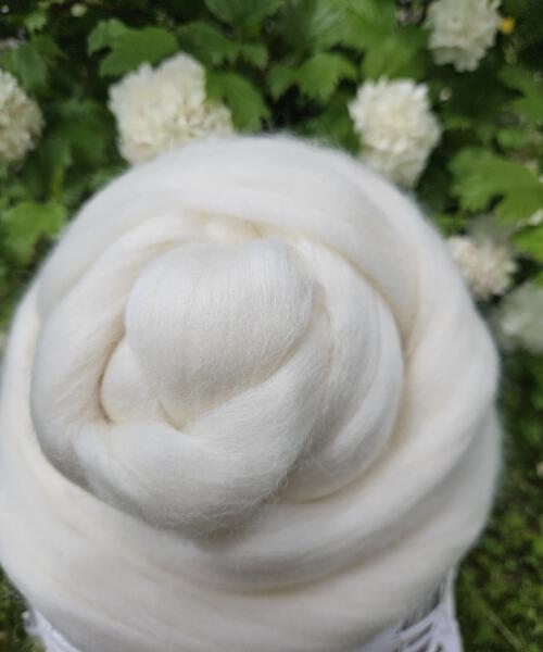 Weicher Schurwoll-Kammzug aus Merino d’Arles – elastisch, natürlich und ideal zum Spinnen, Färben und Filzen
