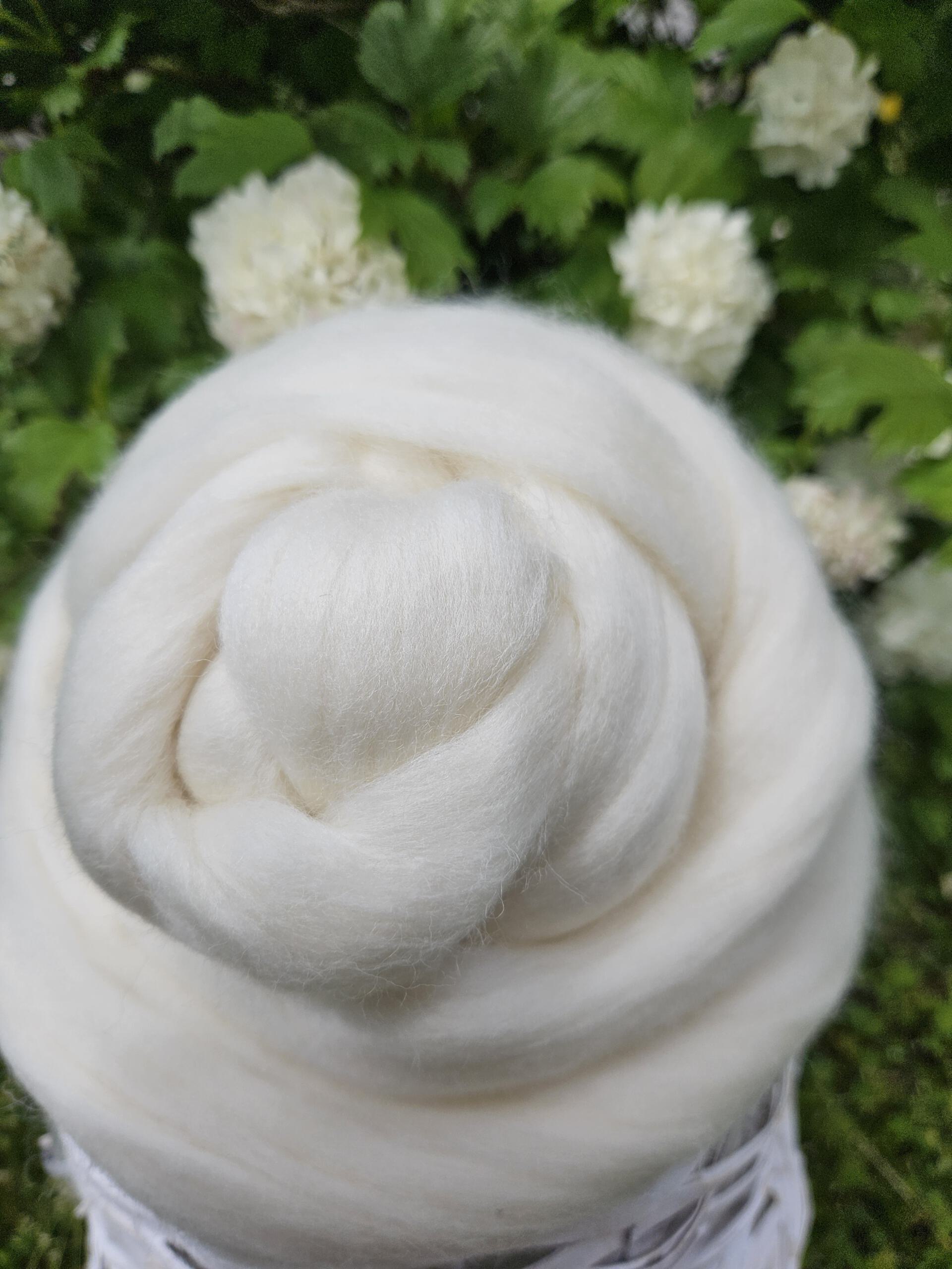 Weicher Schurwoll-Kammzug aus Merino d’Arles – elastisch, natürlich und ideal zum Spinnen, Färben und Filzen
