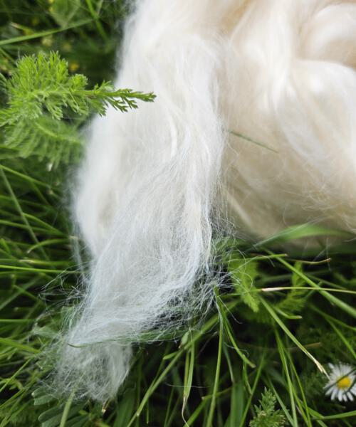 Schurwoll-Kammzug aus deutscher Merinoschafwolle (22 mic.) – weich, elastisch und ideal zum Spinnen, Färben und Filzen