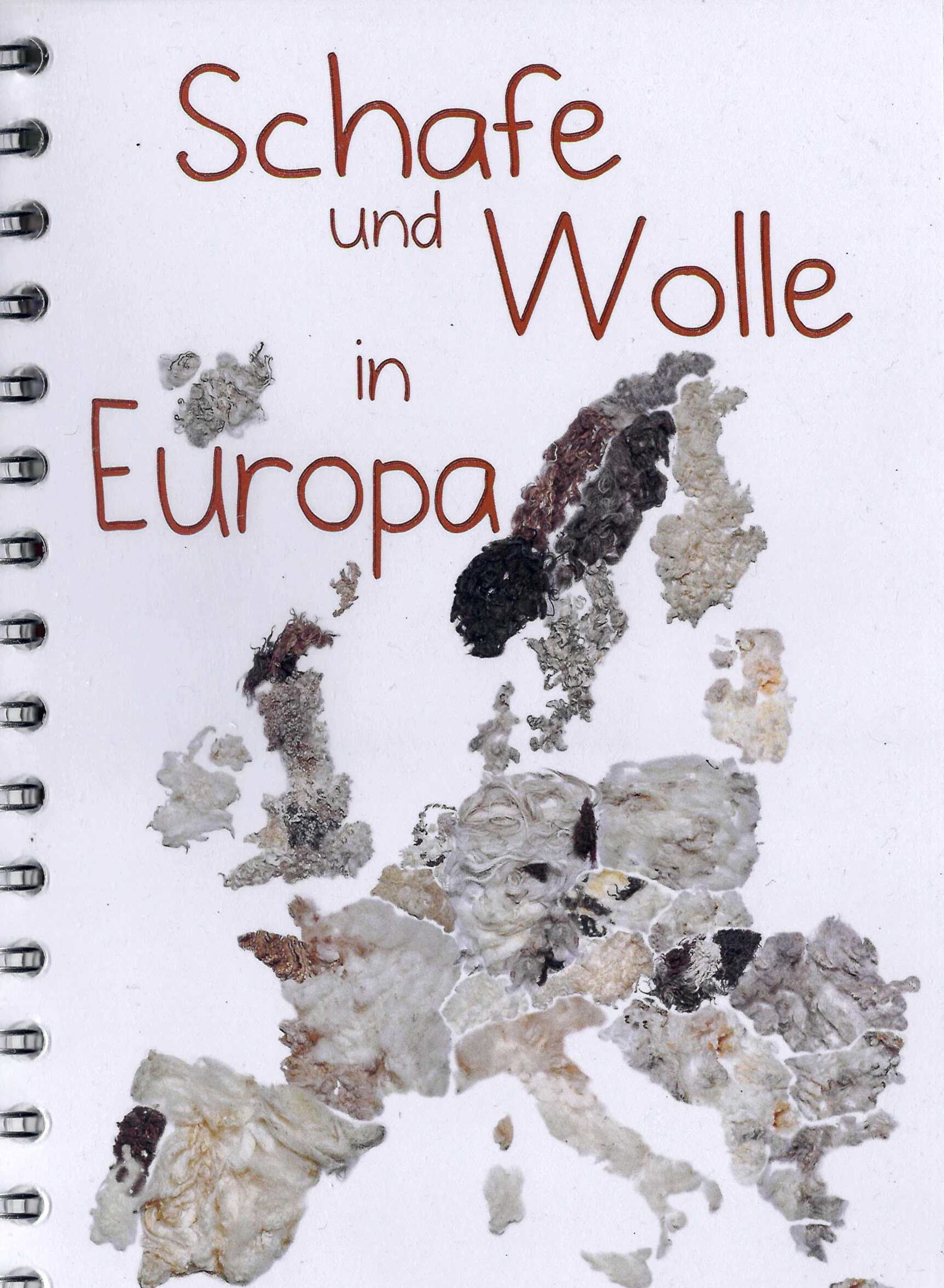Schafe und Wolle in Europa von Betty Stikkers, Diderica Westerveld, Therese A