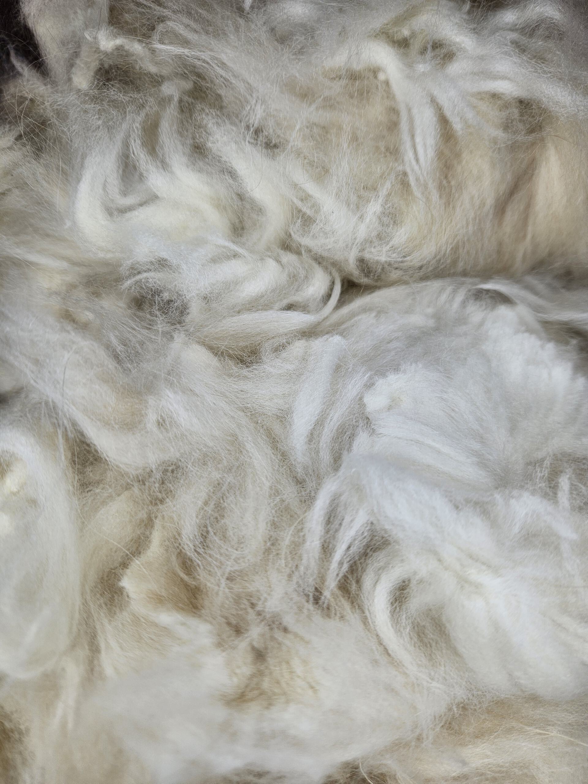 Rohwolle - Angora gelb 100g – Bild 4