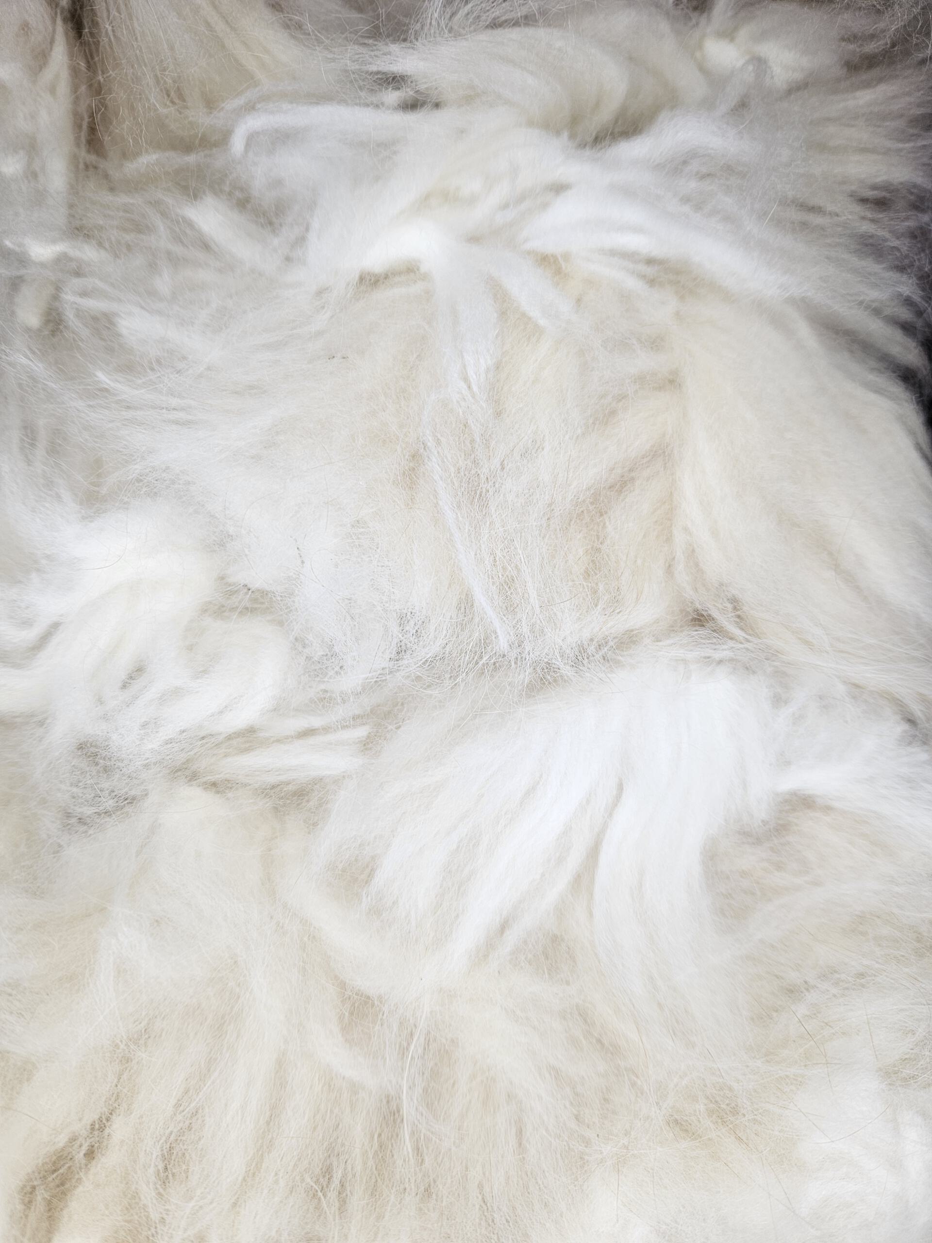 Rohwolle - Angora gelb 100g – Bild 5
