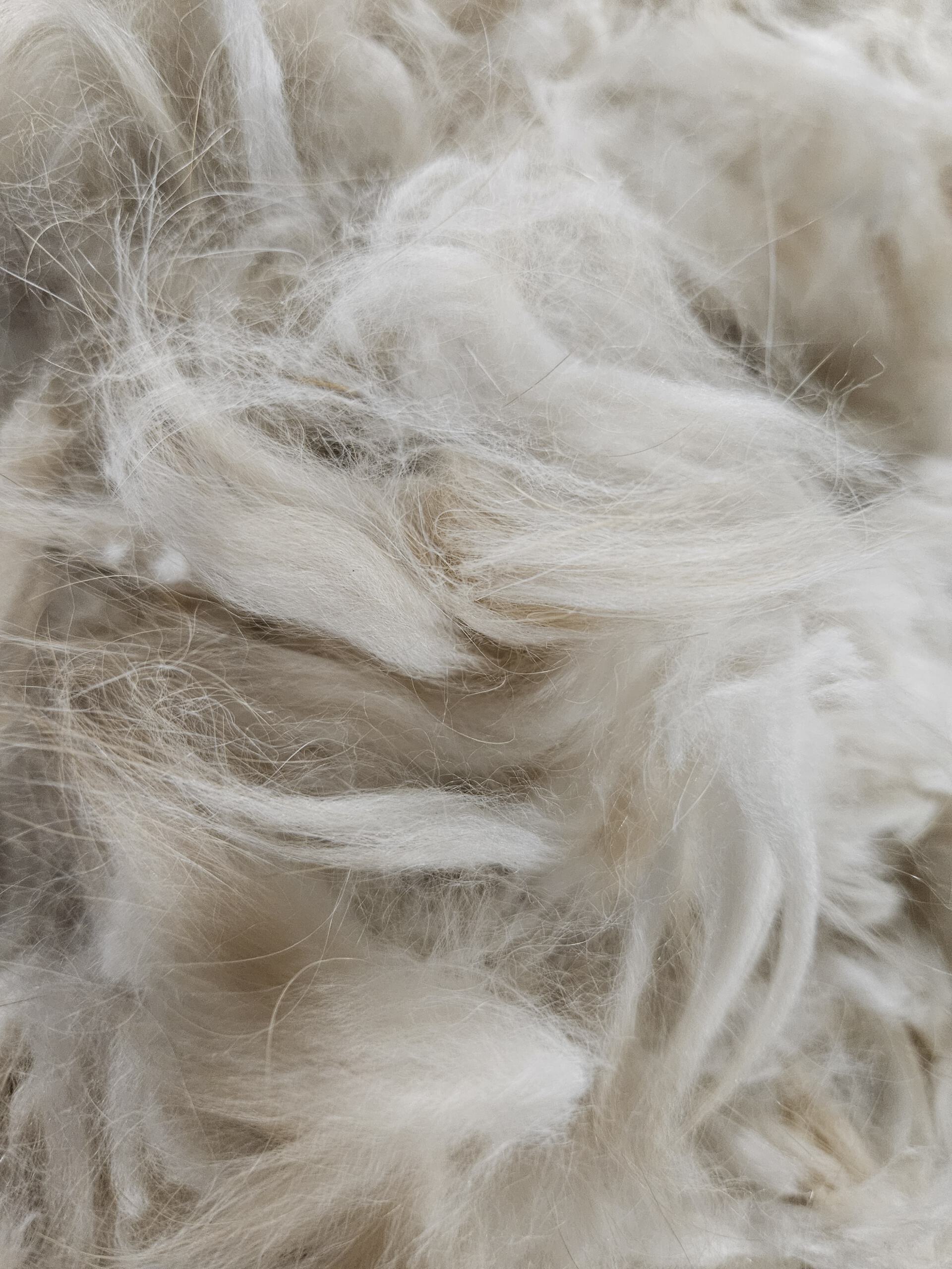 Angorafasern in blaugrau 100g – Bild 7