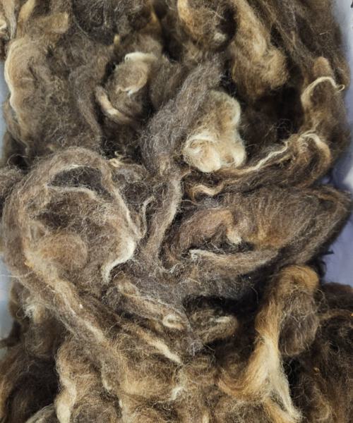 250g Rohwolle von Bergschaf
