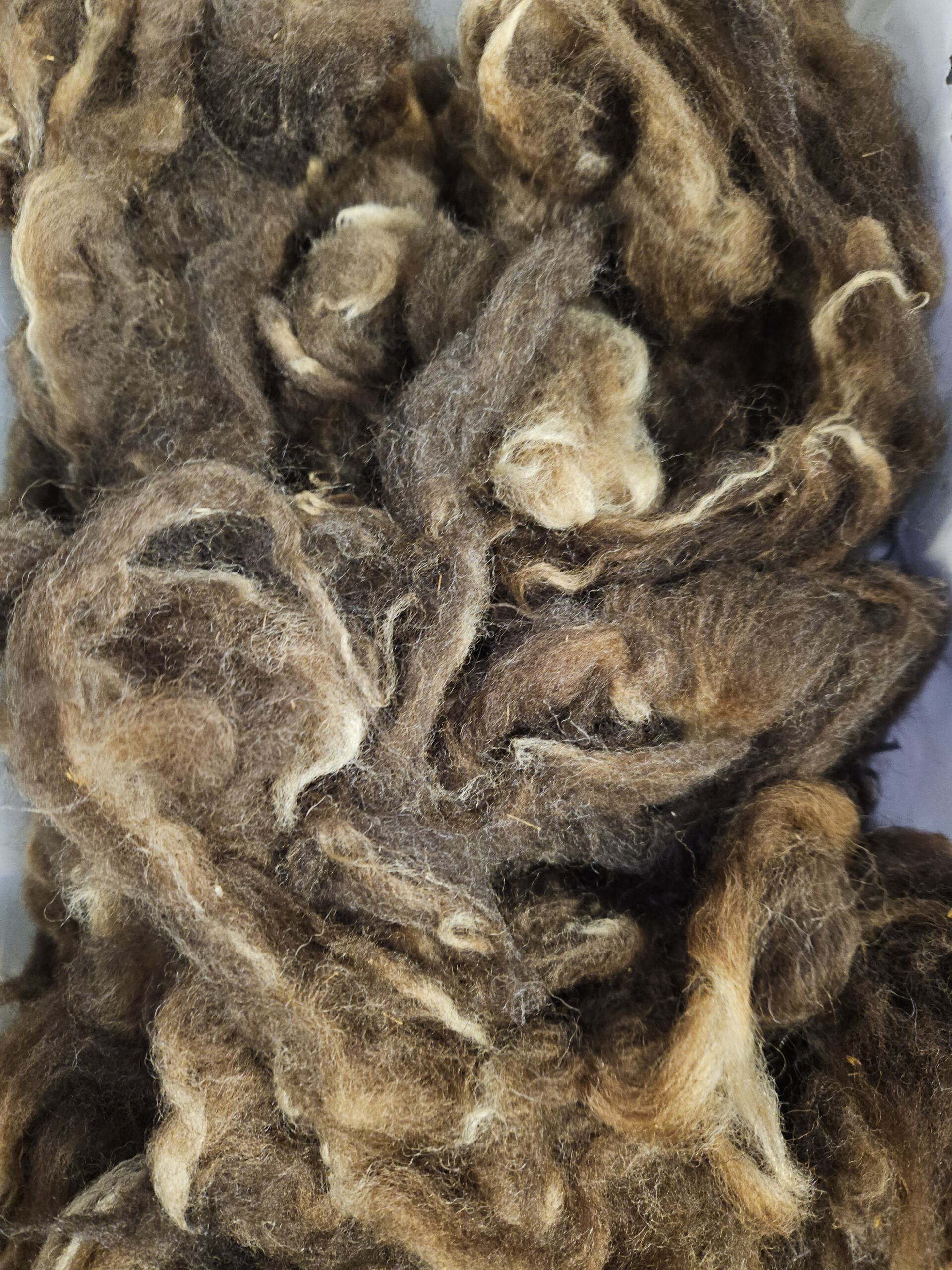 250g Rohwolle von Bergschaf